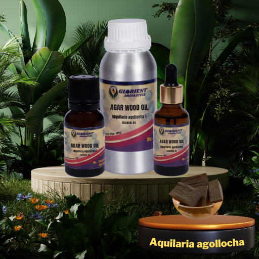 Agarwood Oil ( Aquilaria agallocha )